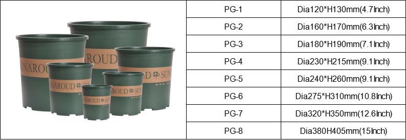 succulent plant flower pot χυμώδες φυτό γλάστρα