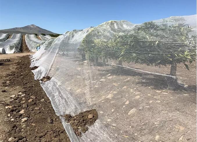 bee net2 δίχτυ μελισσών2