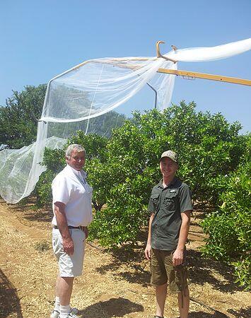 bee net8 δίχτυ μελισσών8