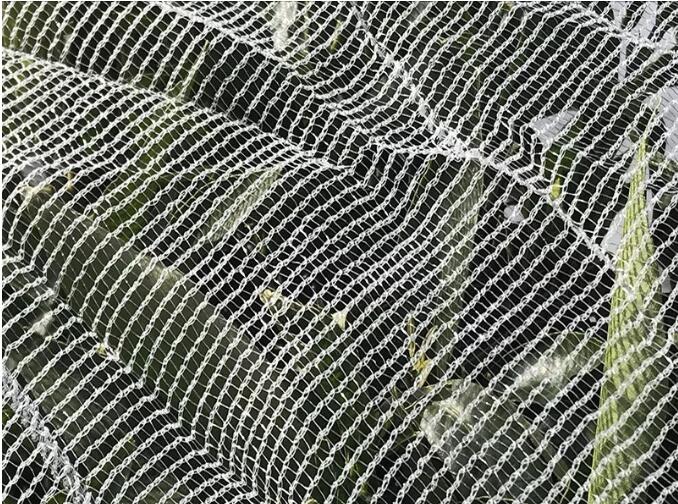 bee net1 δίχτυ μελισσών1