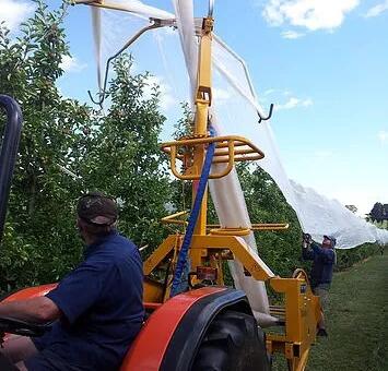 bee net7 δίχτυ μέλισσας7