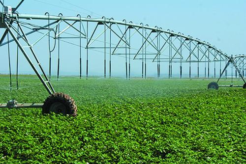 agriculture plastic net γεωργία πλαστικό δίχτυ