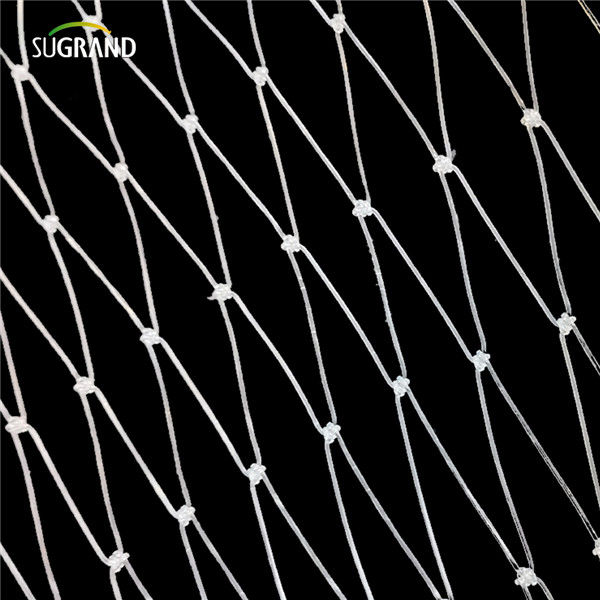 nylon fish net (5) Nylon Fish Net (5)