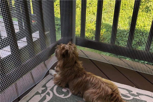 Κατοικίδια ζώα περίφραξης BOP πλαστικό πλέγμα