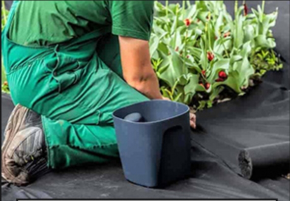 Ρολό από μη υφασμένο ύφασμα