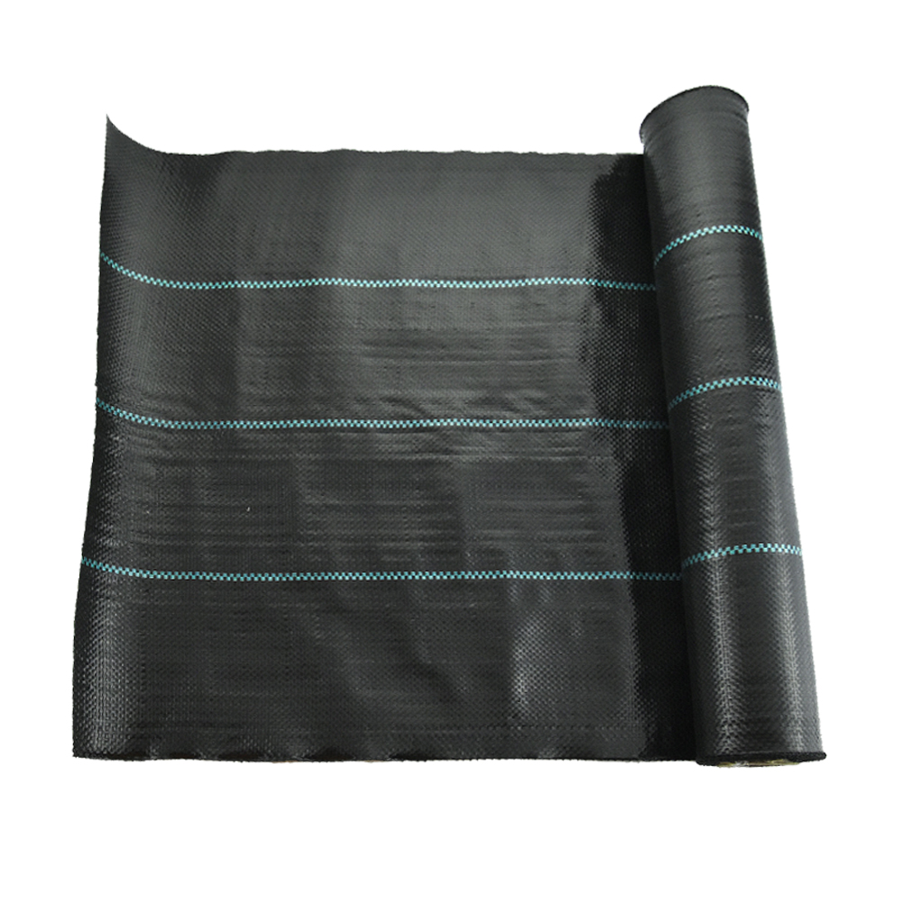 Μαύρη βλάστηση βλάστησης ζιζανίων