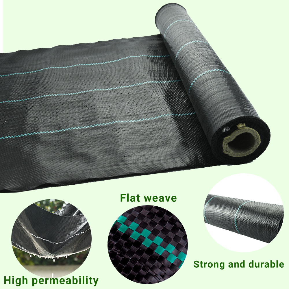 Μαύρη βλάστηση βλάστησης ζιζανίων