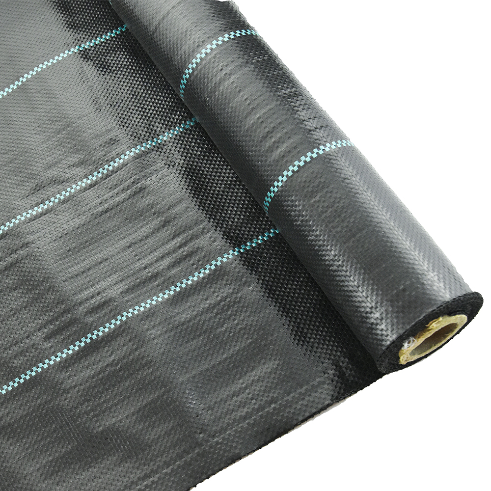 Μαύρη βλάστηση βλάστησης ζιζανίων