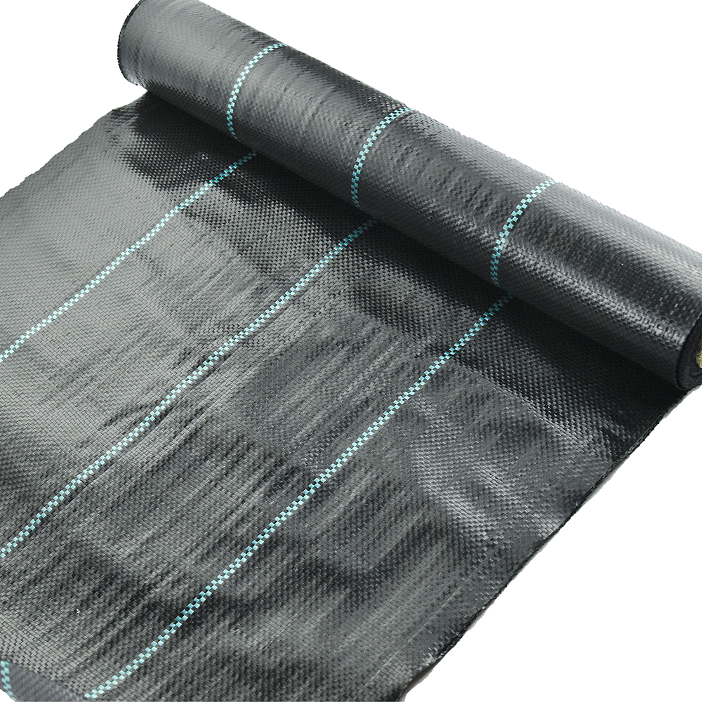 Μαύρη βλάστηση βλάστησης ζιζανίων