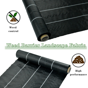 Μαύρη βλάστηση βλάστησης ζιζανίων