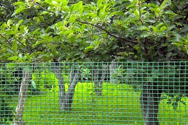 Πλαστικό πλέγμα BOP