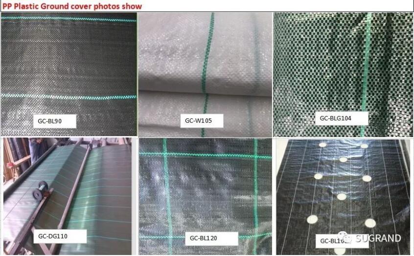 κάλυμμα εδάφους 2