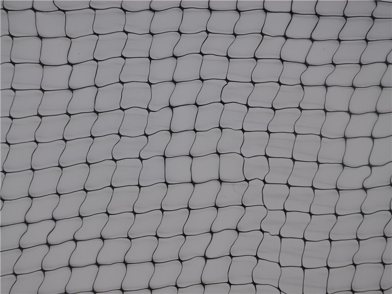 Black Plant Support Net Online Πώληση