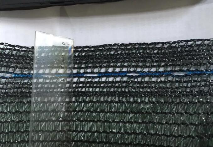 δίχτυ ελιάς16