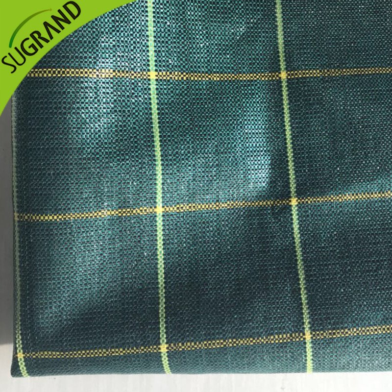 Υψηλής ποιότητας πράσινο κάλυμμα εδάφους/ζιζανίων υψηλής ποιότητας