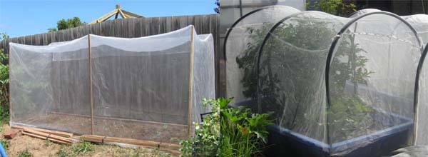 δίχτυ κατά των εντόμων