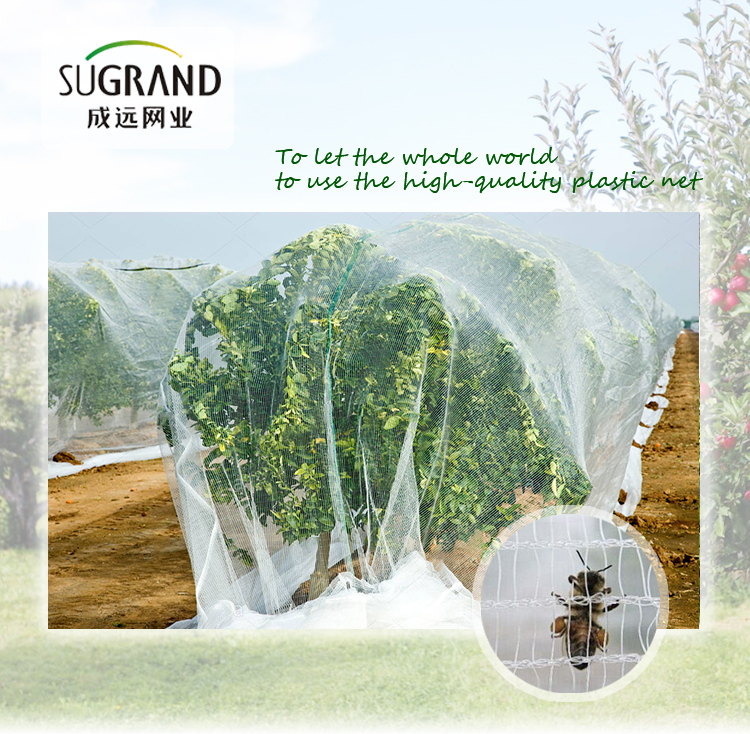 Δίχτυ μελισσών-1