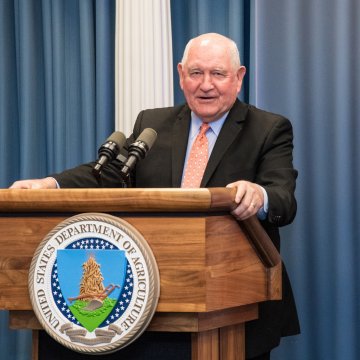 δίχτυ σκίασης γεωργίας