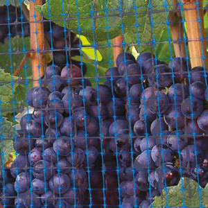 Πώς να επιλέξετε Anti Bird Net;