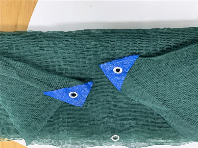 Περιβόλι Τρίγωνο Πράσινη Ελιά Δίχτυ συλλογής