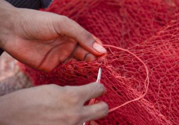 δίχτυ σκίασης