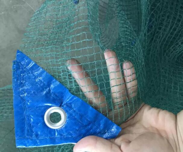 δίχτυ ελιάς10