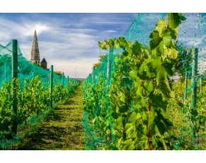 Bird Net -Friendly Agricultural Net για την αύξηση της παραγωγής
