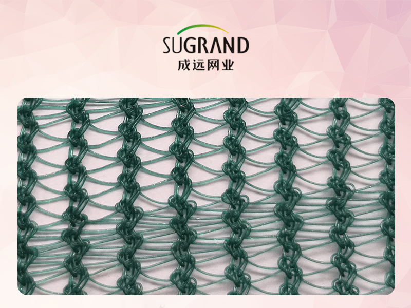 Περιβόλι Τρίγωνο Πράσινη Ελιά Δίχτυ συλλογής