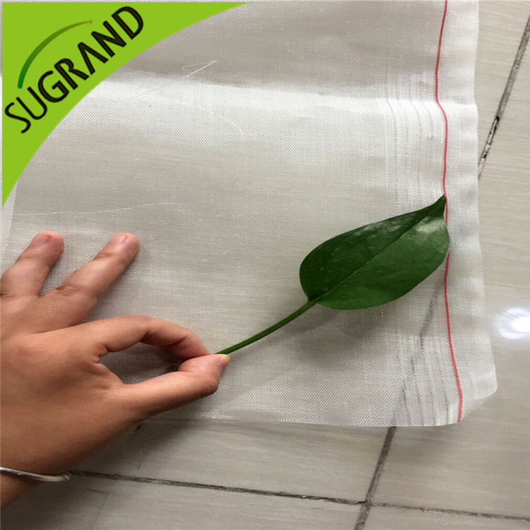 Πώς να αφήσετε τον άνεμο και να αποτρέψετε τα έντομα καθαρά στο θερμοκήπιο;