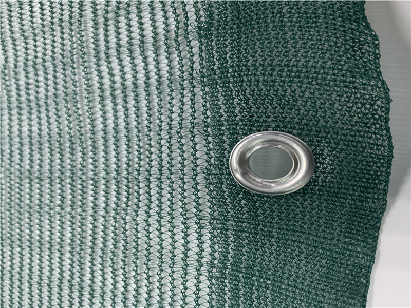 Περιβόλι Τρίγωνο Πράσινη Ελιά Δίχτυ συλλογής