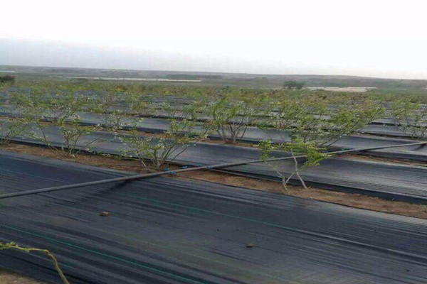 Μια σύντομη εισαγωγή του εδάφους