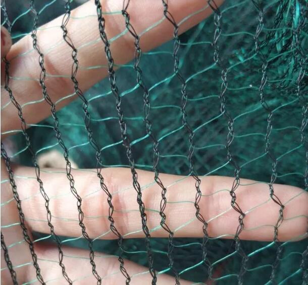 δίχτυ ελιάς9