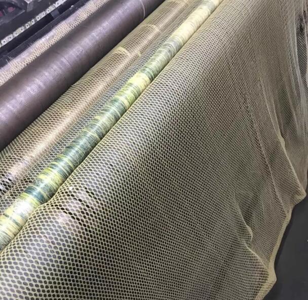 δίχτυ ελιάς13