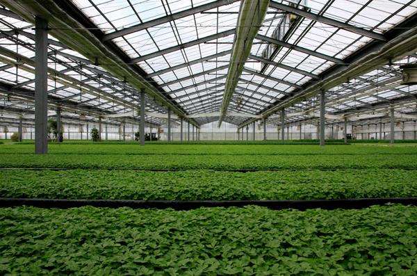 δίχτυ σκίασης θερμοκηπίου