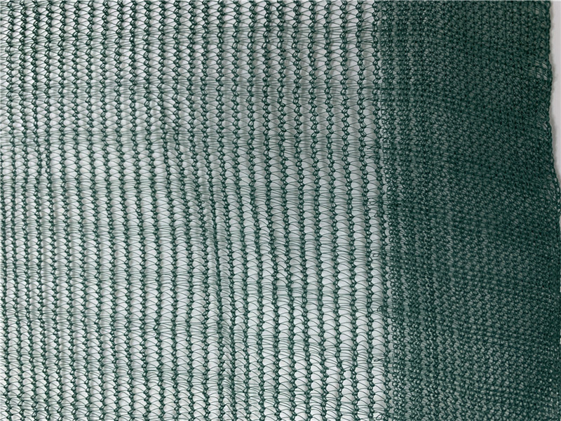 Περιβόλι Τρίγωνο Πράσινη Ελιά Δίχτυ συλλογής