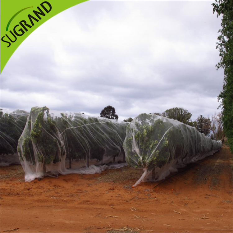 Διαφανές κατά των μελισσοδικτύων online