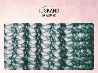 Περιβόλι Τρίγωνο Πράσινη Ελιά Δίχτυ συλλογής