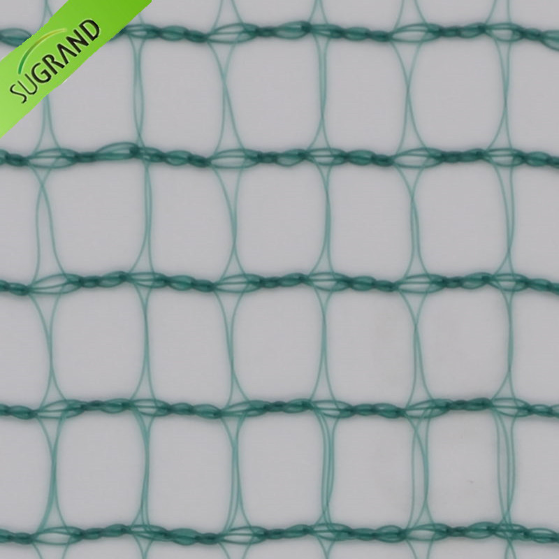 Πράσινο τετράγωνο δίχτυ συγκομιδής 30G/M2