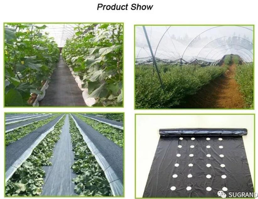 PP Πλαστικό Κάλυμμα Εδάφους/MALLA ANTIMALEZA 