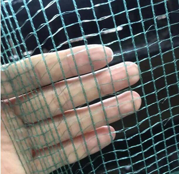 δίχτυ ελιάς8