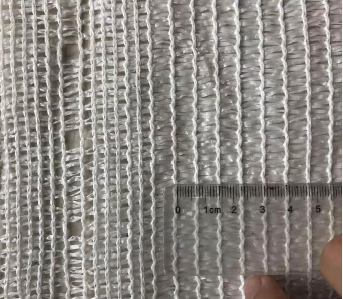 δίχτυ ελιάς19