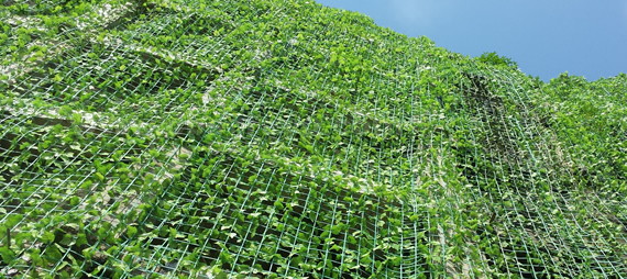 μηχανική φύτευσης με δίχτυ στήριξης φυτών