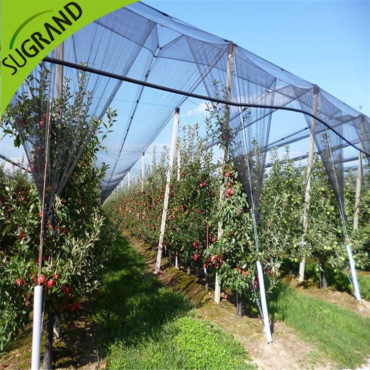 Νέο HDPE Black Anti Bee Net Online