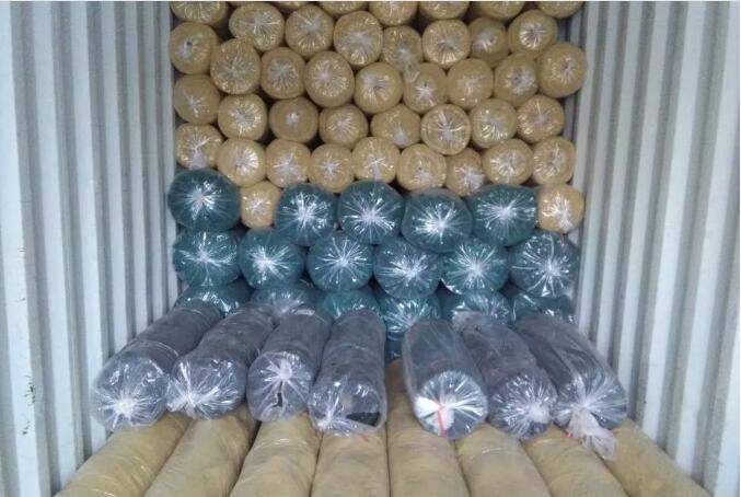 δίχτυ ελιάς15