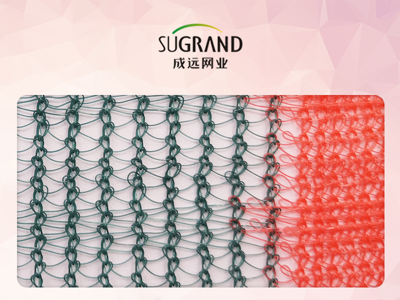 Περιβόλι Τρίγωνο Πράσινη Ελιά Δίχτυ συλλογής