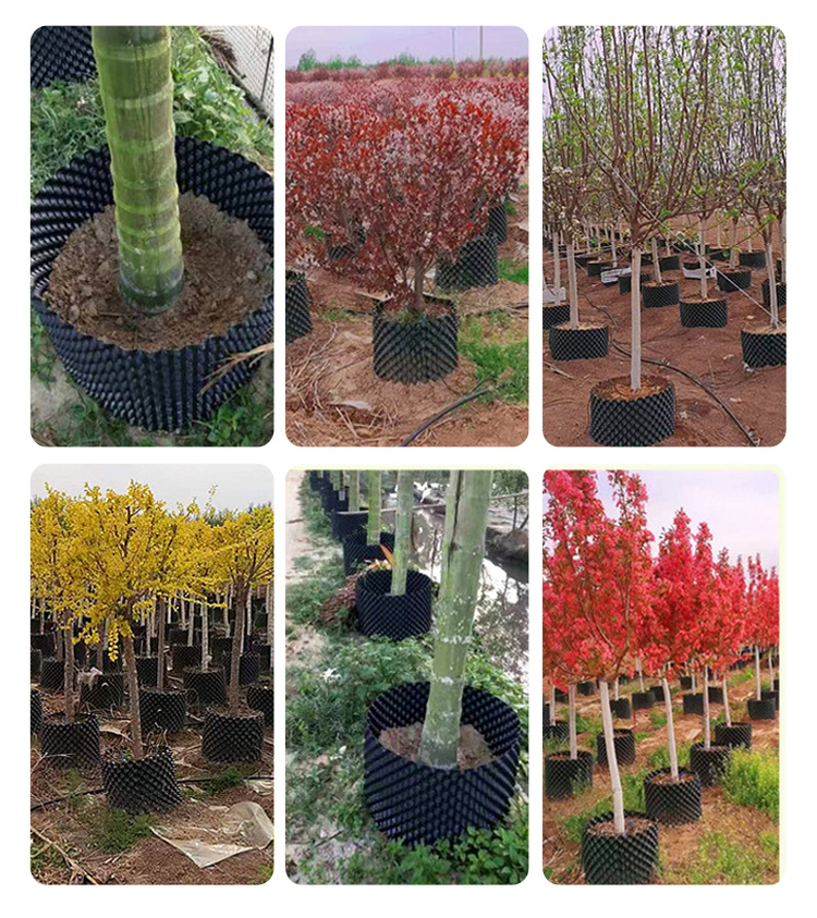 Δοχείο ελέγχου ρίζας