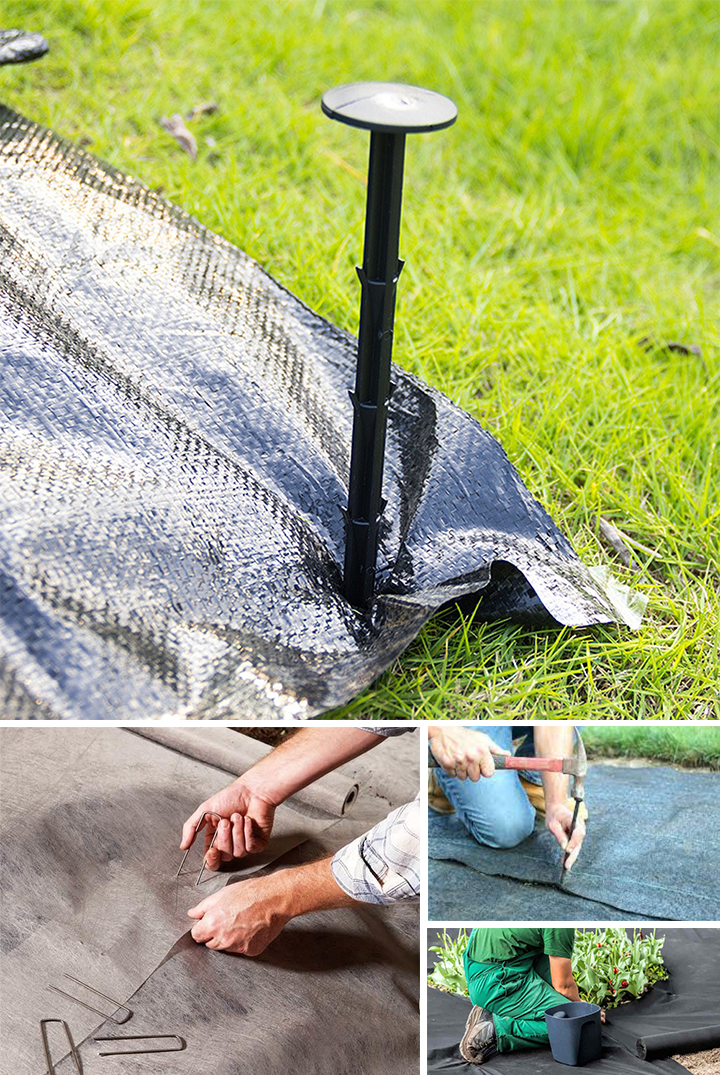 νυχτερινό νυχιού4