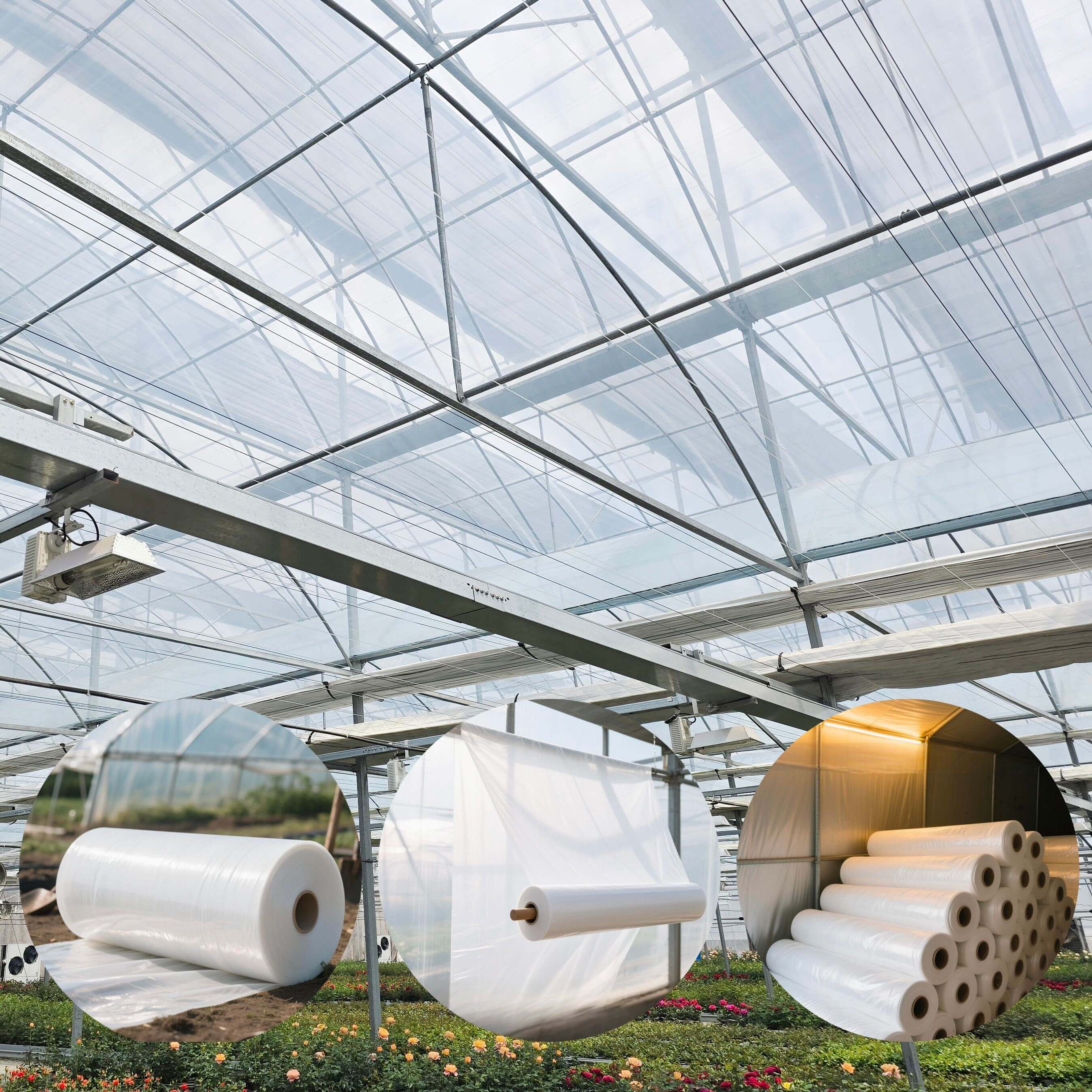 κινηματογραφική ταινία