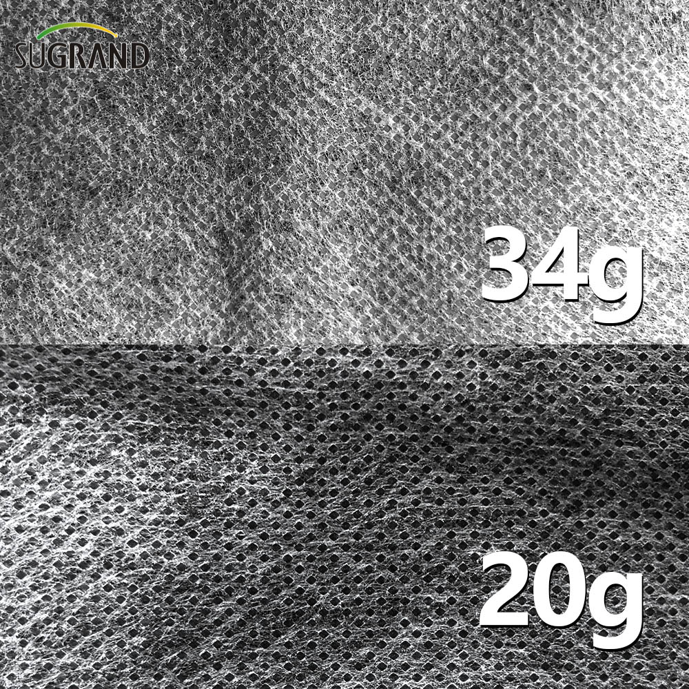 100g 2x50m Γεωργία PP Λευκό μη υφαντό πανί 