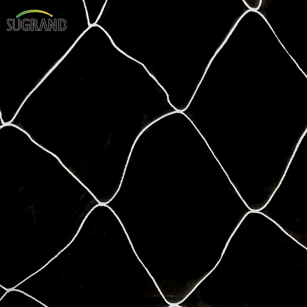 Nylon White Trellis καθαρά φυτά αναρρίχησης που υποστηρίζουν το δίχτυ